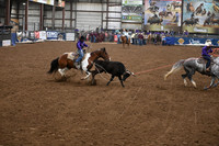 BRINK-HAUKDSC_8884.JPG