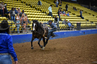 LANGE, COPPER DSC_1813.JPG