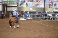 PETERSON, COLTDSC_0569.JPG