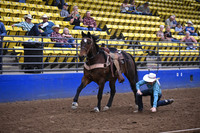 CARR, TRENDENDSC_4140.JPG