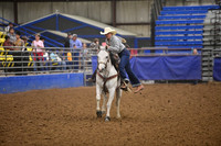 HART, CAYENNE DSC_2732.JPG