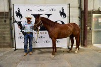 AWARDSDSC_4873.JPG