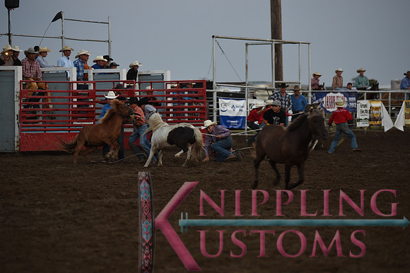 Wild Pony RaceDSC_6080