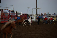 Wild Pony RaceDSC_6081