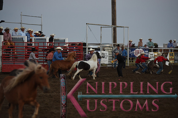 Wild Pony RaceDSC_6081