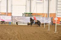 BADGETT, KATEDSC_0703.JPG