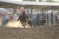 AMIOTTE, BREEZYDSC_6326.JPG