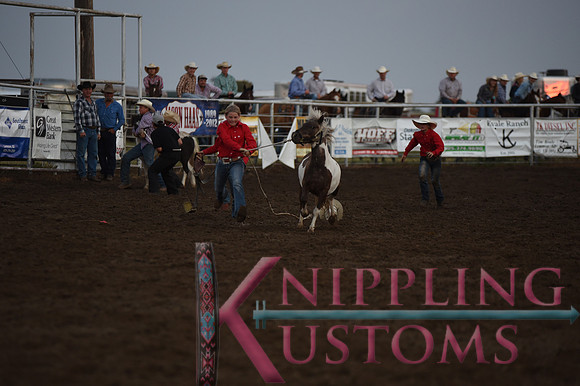 Wild Pony RaceDSC_6089
