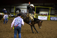 BASSETT, TANNERDSC_1894.JPG