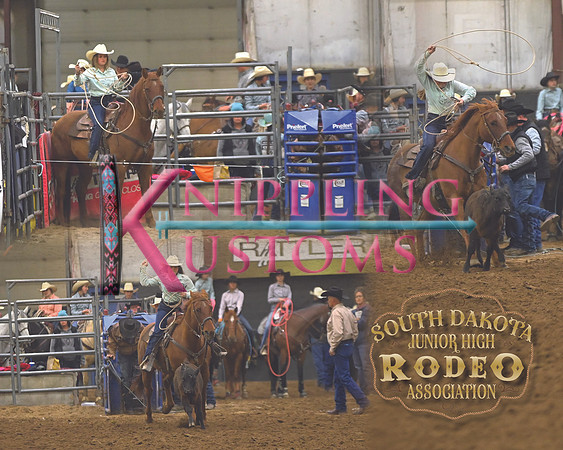 Brewer-Roping-SDJHRA22