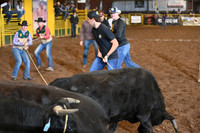 WILD STEER RIDINGDSC_6012.JPG