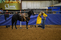 EDGAR, TOREEDSC_4035.JPG