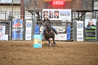 NETZER, VICTORIADSC_8632.JPG