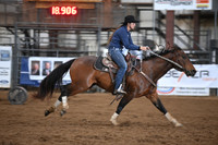 BULL, BREANNEDSC_9575.JPG