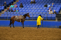 BORTON, BLUEDSC_3070.JPG
