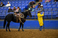 EDGAR, TOREEDSC_4049.JPG