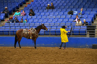 BORTON, BLUEDSC_3071.JPG