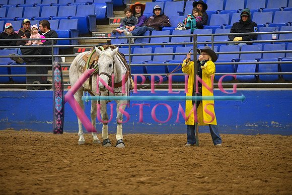 TIBBS, BAILEYDSC_2081.JPG
