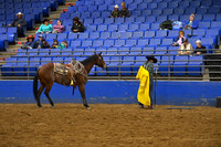 BORTON, BLUEDSC_3072.JPG