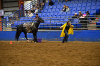 DALE, SADIEDSC_3224.JPG