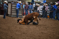 LAMMERS, JACOBDSC_5177.JPG