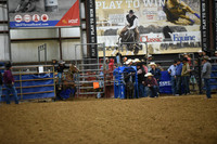 BOWDEN-GRUBBDSC_5648.JPG