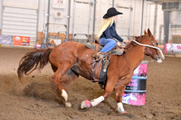 IRVING, GABIDSC_0516.JPG
