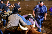 WILD RIDEDSC_4479.JPG
