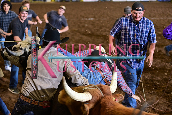 WILD RIDEDSC_4479.JPG