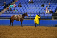 BORTON, BLUEDSC_3069.JPG