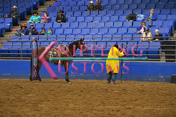 BORTON, BLUEDSC_3069.JPG