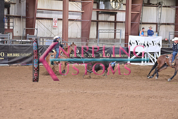 BRAZILE, TREVORDSC_3625.JPG