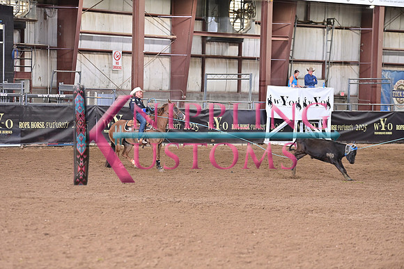 BRAZILE, TREVORDSC_3626.JPG