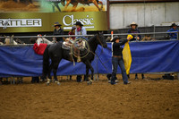 DALE, SADIEDSC_3216.JPG