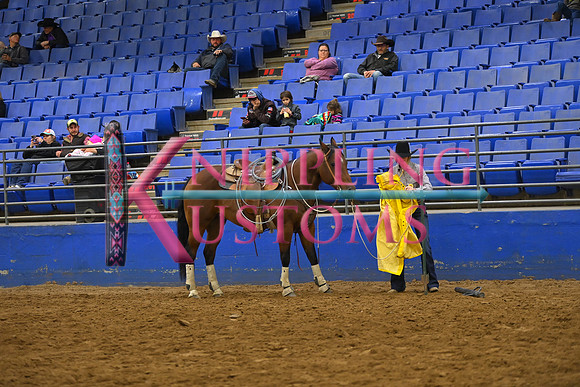 MEIDELL, MADDIEDSC_3289.JPG