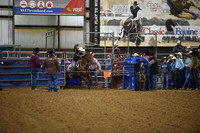 Tie Down Roping