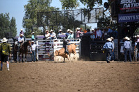 ACHESON, PAYSONDSC_4632.JPG