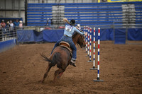 DAY, DALLYSDSC_1818.JPG