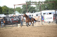 CANDIDDSC_6541