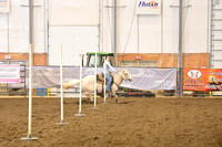 HANTEN, CHAUNTELDSC_0183.JPG