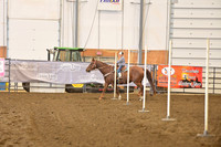 PEER, RENNERDSC_0816.JPG