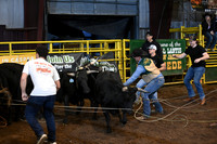 WILD STEER RIDINGDSC_6008.JPG
