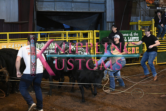WILD STEER RIDINGDSC_6008.JPG