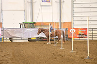 PEER, RENNERDSC_0808.JPG
