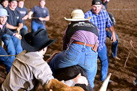 WILD RIDEDSC_4478.JPG