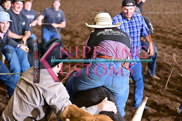 WILD RIDEDSC_4478.JPG