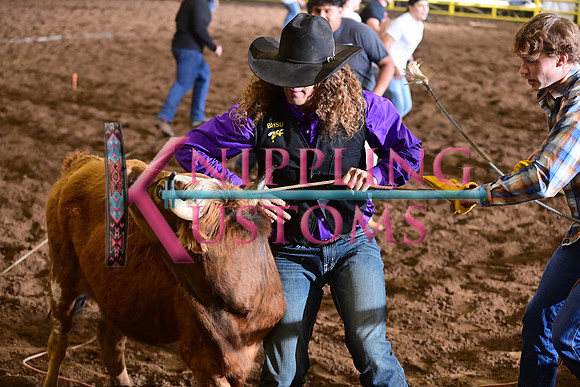 WILD RIDEDSC_4480.JPG
