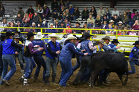 WILD STEER RIDINGDSC_4080.JPG