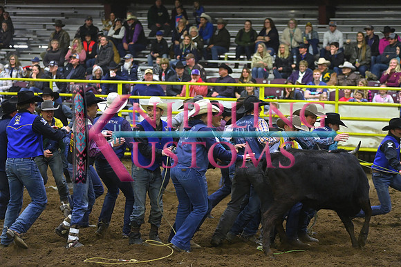 WILD STEER RIDINGDSC_4080.JPG