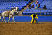 TIBBS, BAILEYDSC_2079.JPG